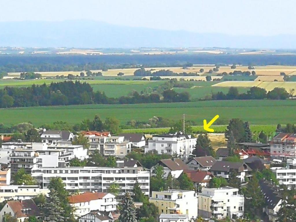 Ferienwohnung Toskana Mit Schwimmbad Und Sauna Bad Bergzabern Extérieur photo